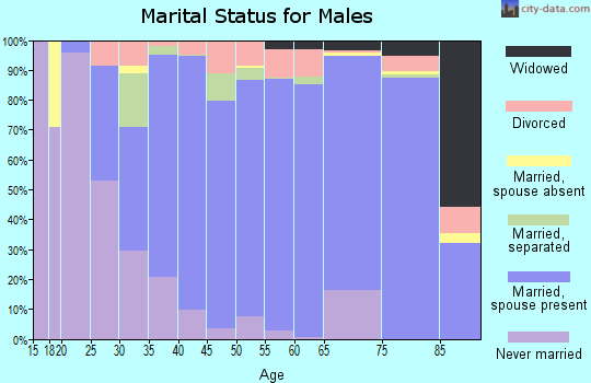 Zip code 29036 marital status for males