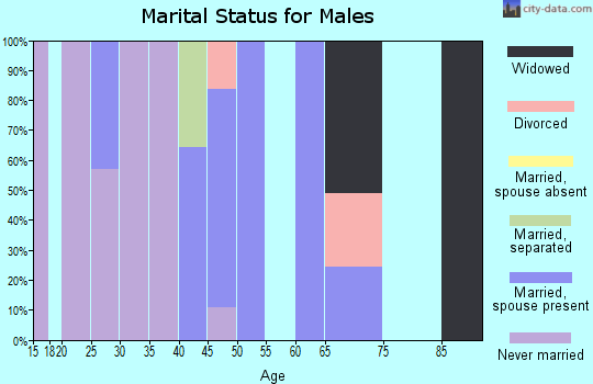 Zip code 29037 marital status for males
