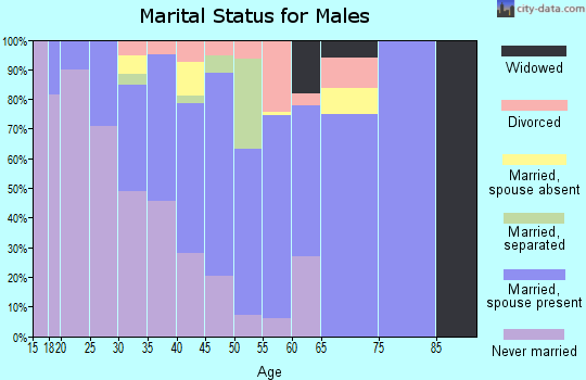 Zip code 29040 marital status for males