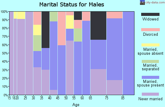 Zip code 29042 marital status for males