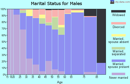Zip code 29045 marital status for males