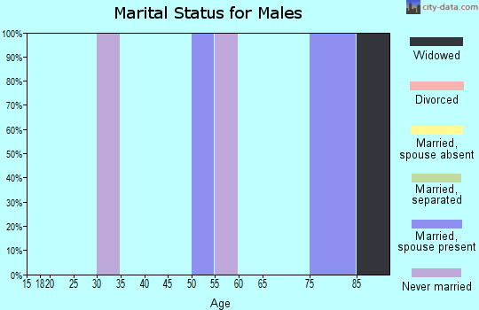 Zip code 29046 marital status for males