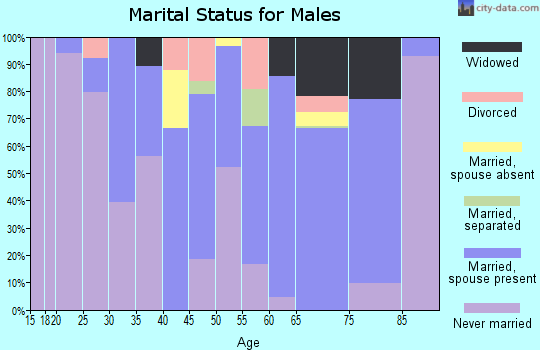 Zip code 29047 marital status for males