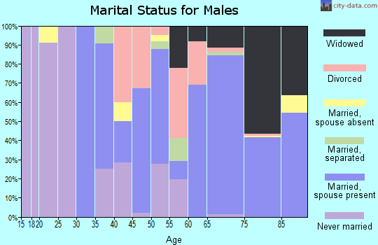 Zip code 29048 marital status for males