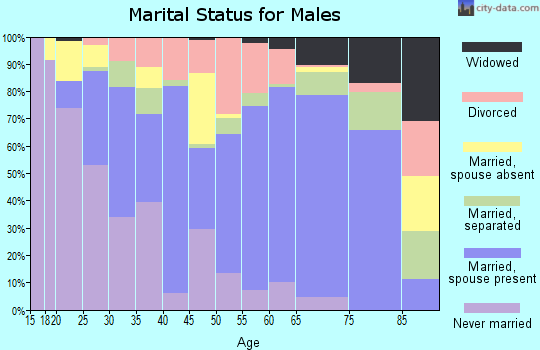 Zip code 29053 marital status for males
