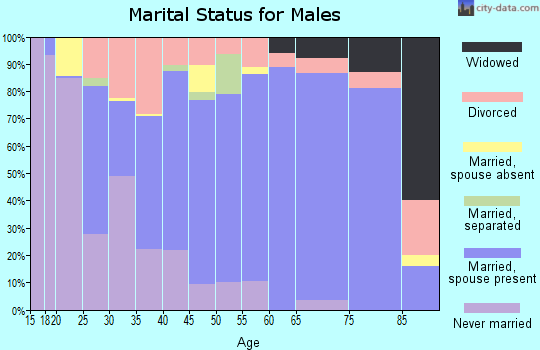 Zip code 29054 marital status for males
