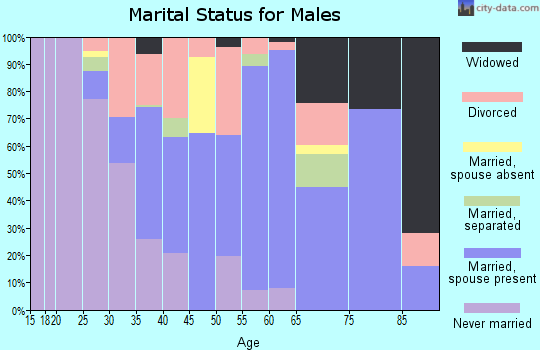 Zip code 29055 marital status for males
