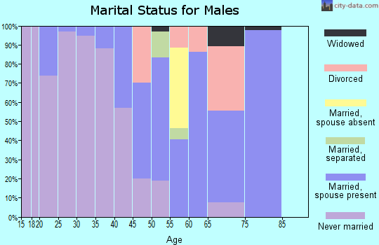 Zip code 29056 marital status for males