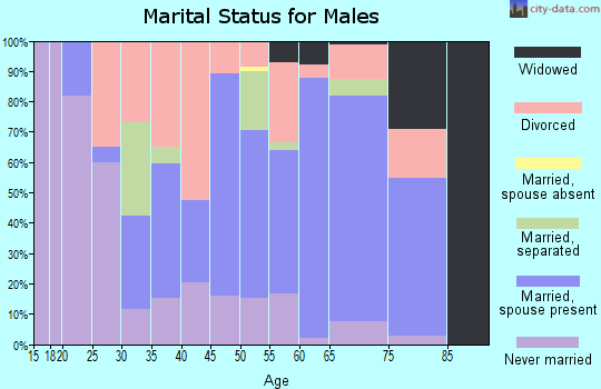 Zip code 29058 marital status for males