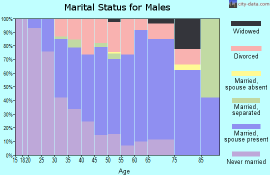 Zip code 29061 marital status for males