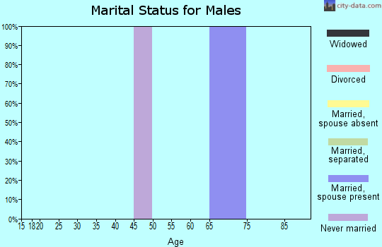 Zip code 29062 marital status for males