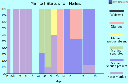 Zip code 29065 marital status for males
