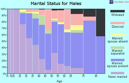 Zip code 29067 marital status for males