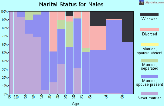 Zip code 29069 marital status for males