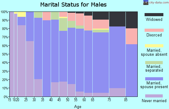Zip code 29070 marital status for males