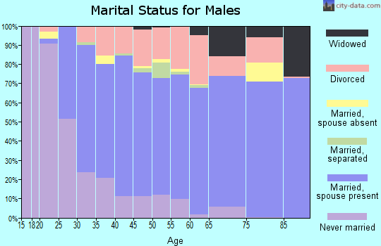 Zip code 29073 marital status for males