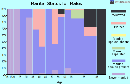 Zip code 29075 marital status for males