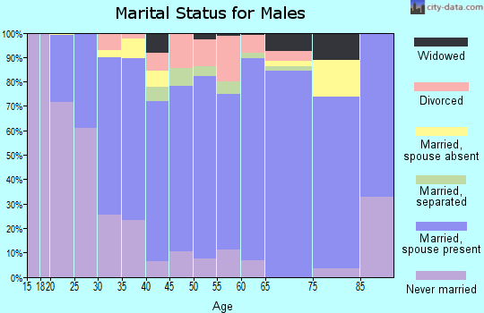 Zip code 29078 marital status for males