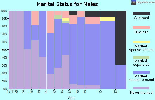 Zip code 29080 marital status for males