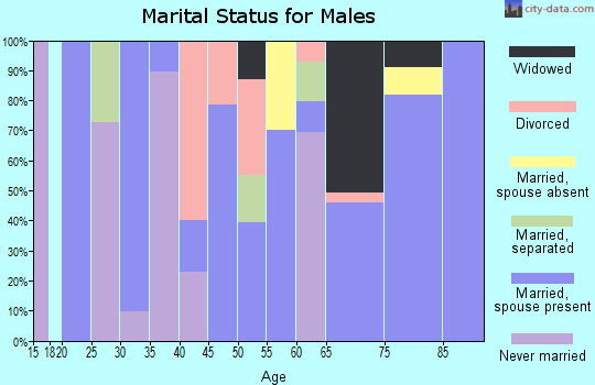 Zip code 29081 marital status for males