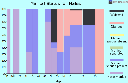 Zip code 29082 marital status for males