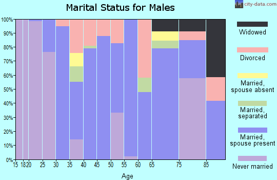 Zip code 29101 marital status for males