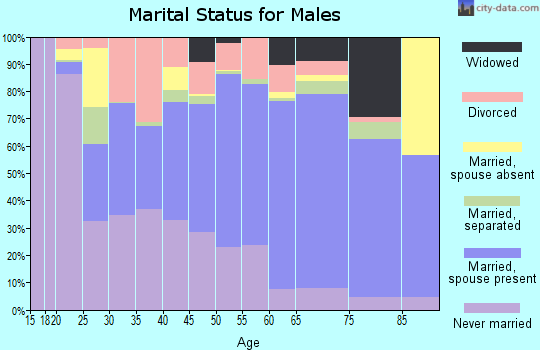 Zip code 29102 marital status for males