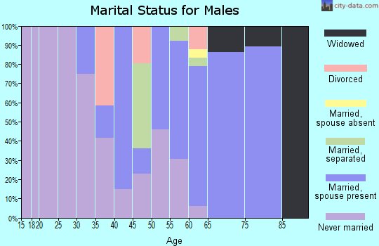 Zip code 29104 marital status for males