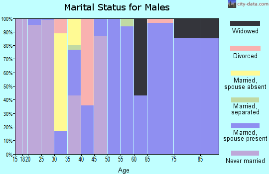 Zip code 29105 marital status for males