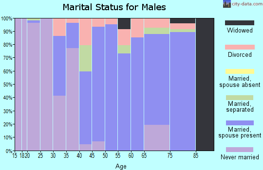 Zip code 29107 marital status for males