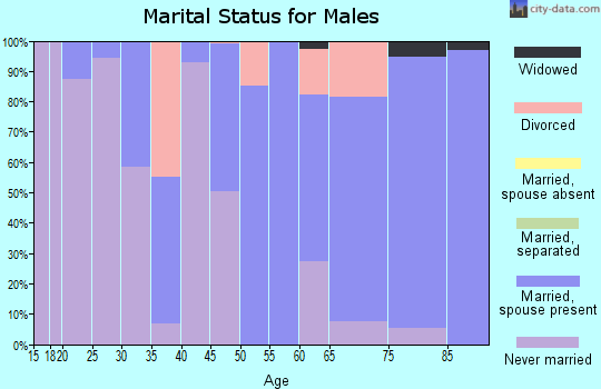 Zip code 29113 marital status for males