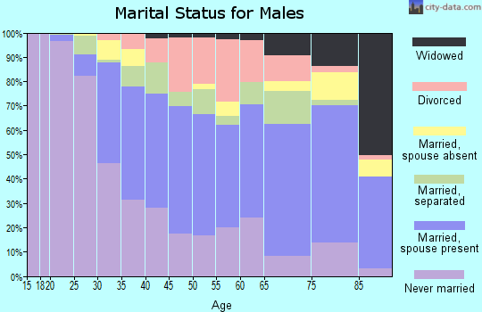 Zip code 29115 marital status for males