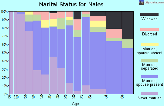 Zip code 29118 marital status for males