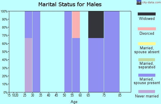 Zip code 29122 marital status for males