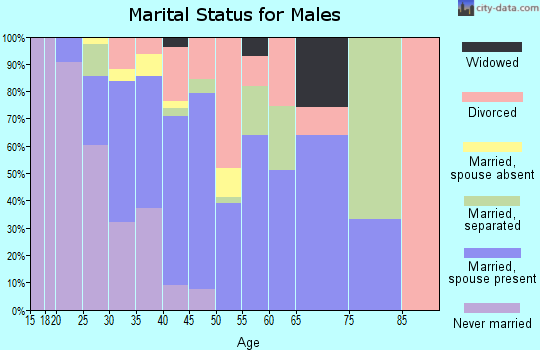 Zip code 29123 marital status for males