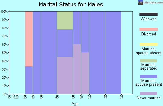 Zip code 29124 marital status for males