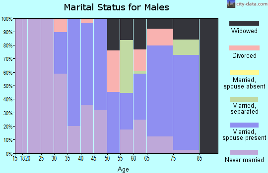 Zip code 29125 marital status for males