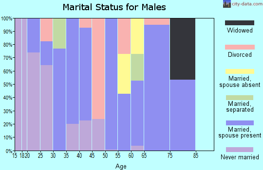 Zip code 29126 marital status for males