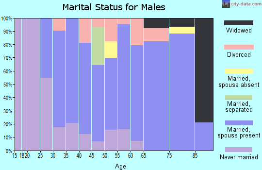 Zip code 29127 marital status for males