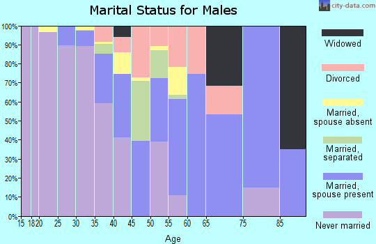 Zip code 29128 marital status for males