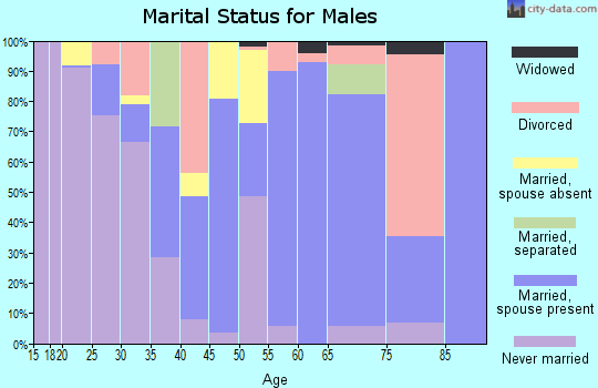 Zip code 29129 marital status for males
