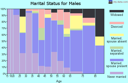 Zip code 29130 marital status for males