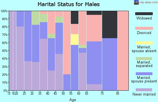 Zip code 29133 marital status for males