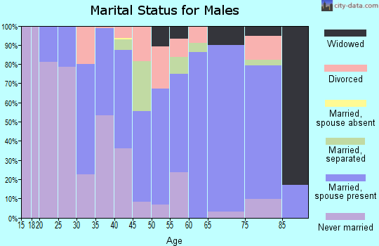 Zip code 29135 marital status for males