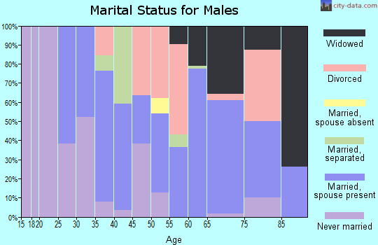 Zip code 29137 marital status for males
