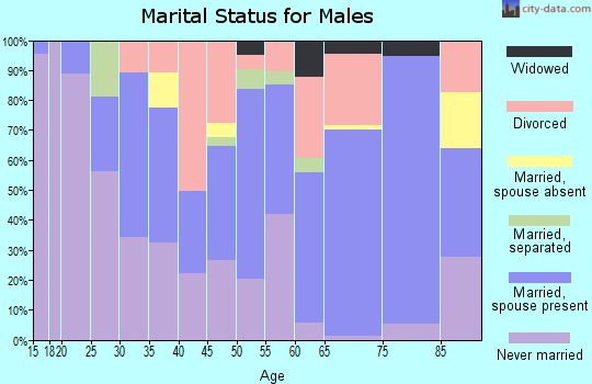 Zip code 29138 marital status for males