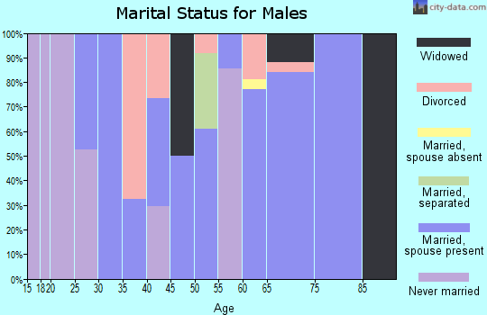 Zip code 29145 marital status for males