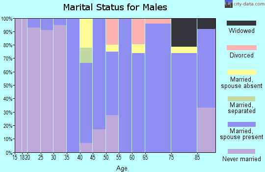 Zip code 29146 marital status for males