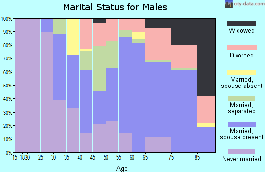Zip code 29148 marital status for males