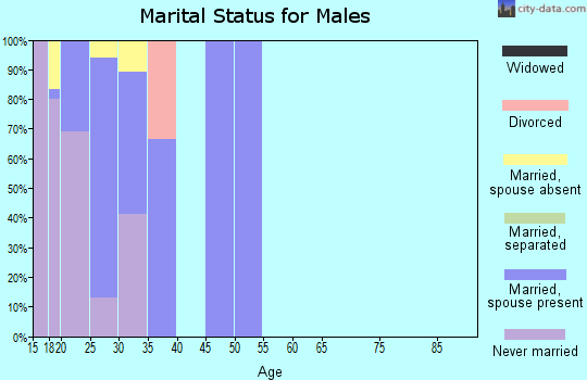 Zip code 29152 marital status for males